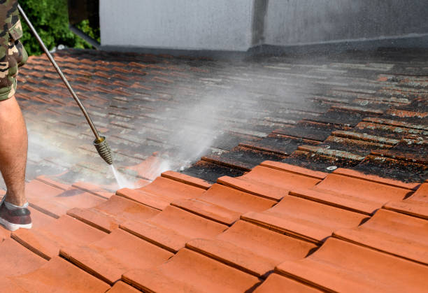 Best Roof Power Washing Services  in Oakville, MO